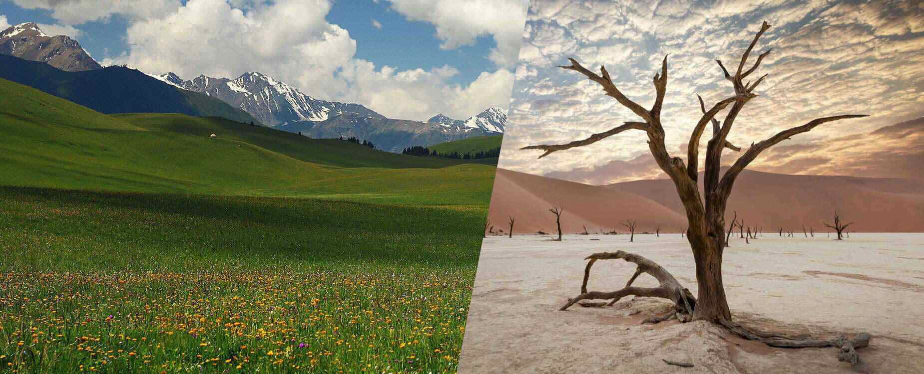 Сколько ураганов сейчас на планете и категории ураганов